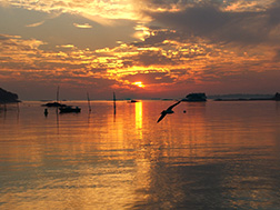 original sunset photo by Herb Rosenfield of the AFCCenter